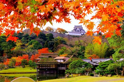 🏞️ 겐큐엔 정원 (玄宮園) 이미지 2